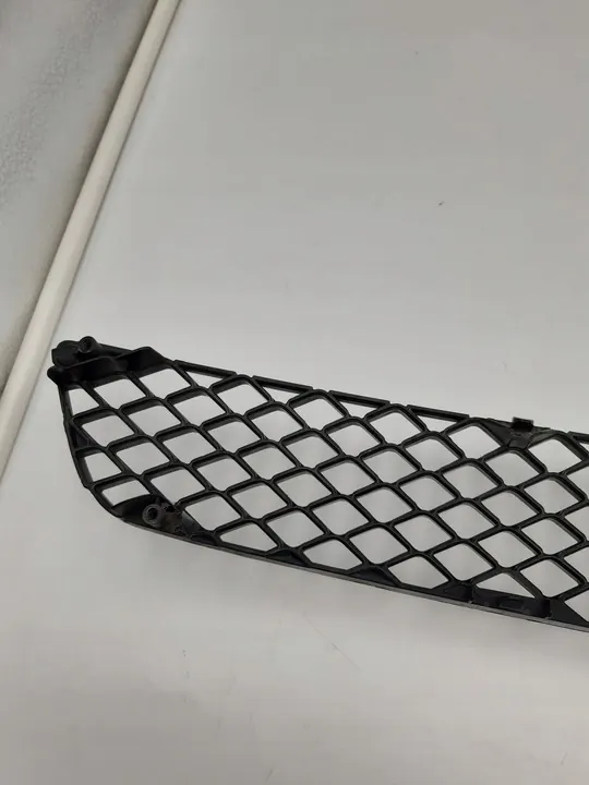 Mitsubishi Lancer X Radiator Grille image 6