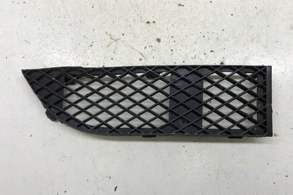Griglia paraurti anteriore BMW 7 Serie 51117135564 image 2