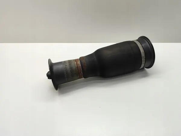 Sacco di Sospensione Pneumatica Posteriore BMW 5 F10 F11 2011 image 2