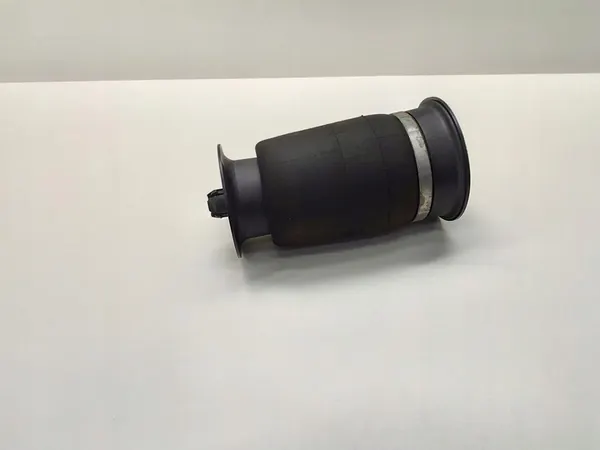 Sacco di Sospensione Pneumatica Posteriore BMW 5 F10 F11 2011 image 3