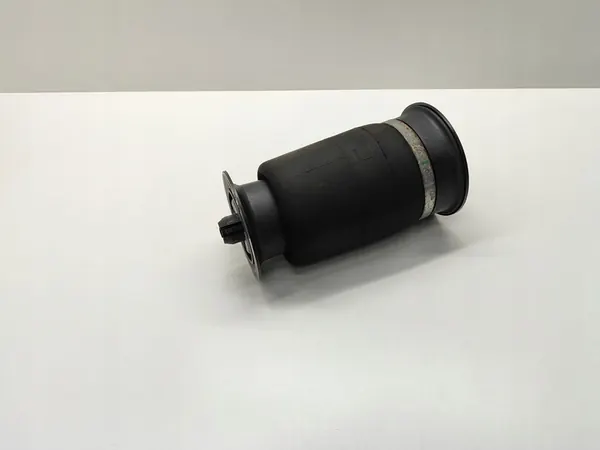 Sacco di Sospensione Pneumatica Posteriore BMW 5 F10 F11 2011 image 4