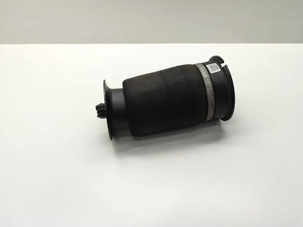 Sacco di Sospensione Pneumatica Posteriore BMW 5 F10 F11 2011 image 5