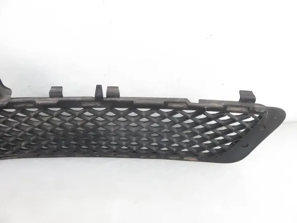 Grille de pare-chocs centrale Mercedes W212 A2128850023 image 2