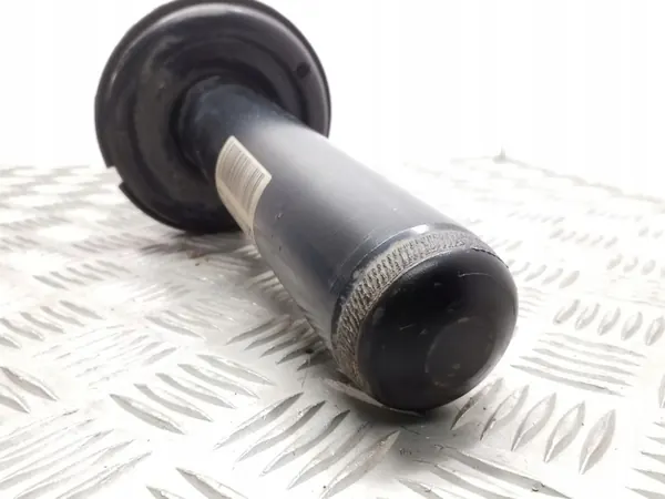 Ammortizzatore anteriore Audi A4 S4 B8 2008 8K0413031AF image 2