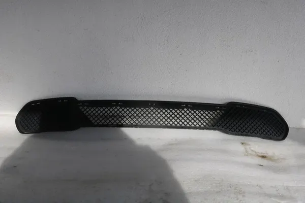 Griglia Paraurti Anteriore BMW X1 E84 51112990368 image 2