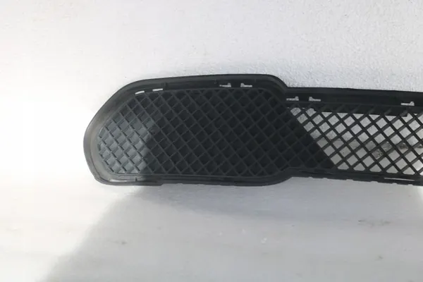 Griglia Paraurti Anteriore BMW X1 E84 51112990368 image 3