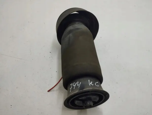 BMW X5 E70 Achter luchtveer OEM 309512606 image 2