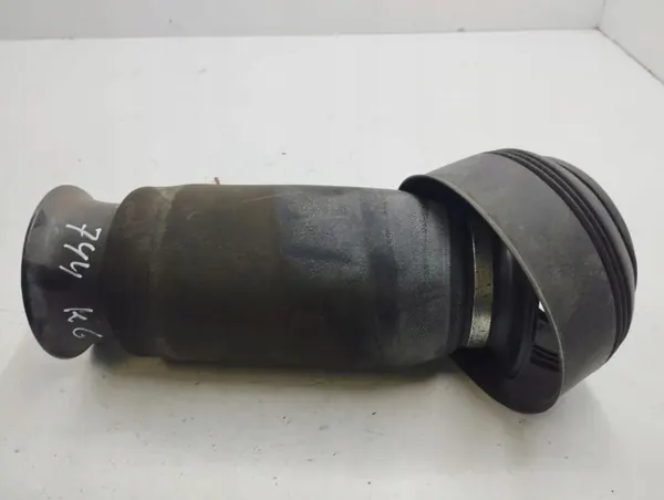 BMW X5 E70 Achter luchtveer OEM 309512606 image 3
