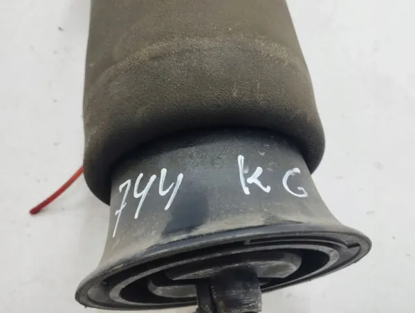 BMW X5 E70 Achter luchtveer OEM 309512606 image 6
