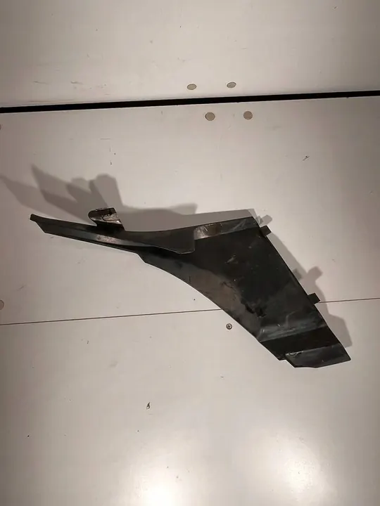 AUDI TT 8J Tampa Frontal 8J0807081B image 4