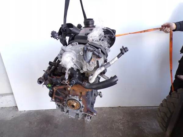 Gebrauchter Motor OEM BWA 2.0 TFSI für VW Golf V GTI image 3