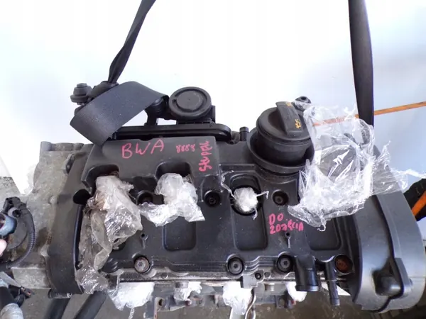 Gebrauchter Motor OEM BWA 2.0 TFSI für VW Golf V GTI image 5