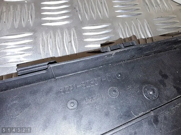 Kylarrubrik Ford Ecosport 2016 med kåpa image 4