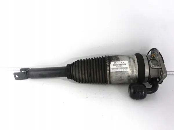 OEM 66143073 Amortiguador Neumático Bentley Trasero Derecho image 2