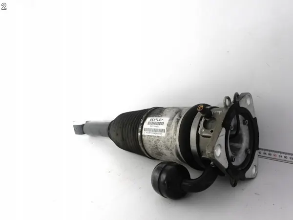 OEM 66143073 Amortiguador Neumático Bentley Trasero Derecho image 3
