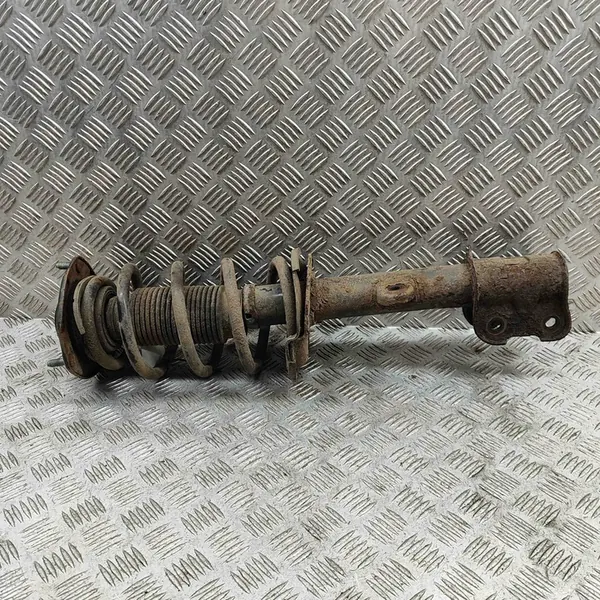 Ammortizzatore Anteriore Sinistro Hyundai Santa Fé II 2.2L OEM 546502B510 image 2