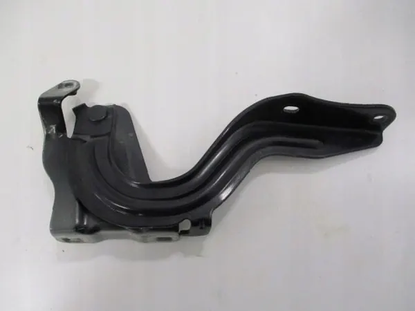 OEM -123ds-d41d8c-587a41 Linker Motorkapscharnier voor Renault Koleos II image 2