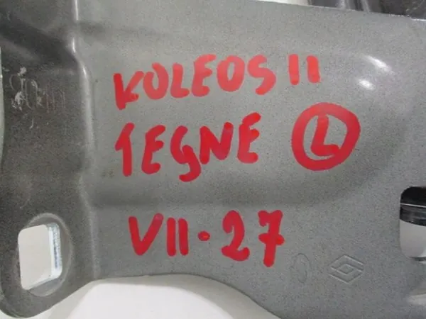 OEM -123ds-d41d8c-587a41 Linker Motorkapscharnier voor Renault Koleos II image 8