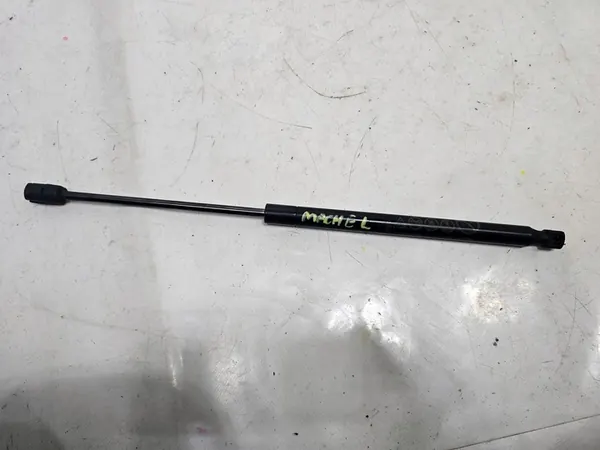 Atuador do capô Ford Mustang Mach-E 2021 LJ8BR16C827AB image 2