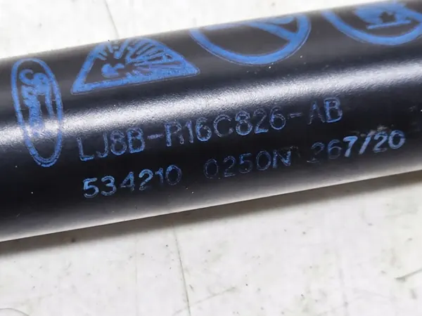 Atuador do capô Ford Mustang Mach-E 2021 LJ8BR16C827AB image 8