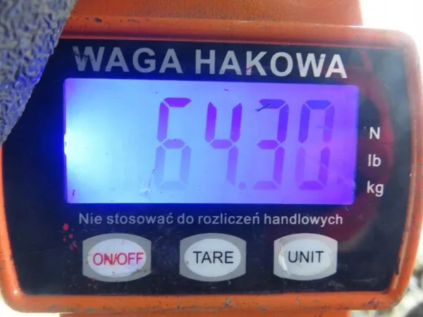 Hinterachse OEM SANKI TYŁ FORD FOCUS C-MAX (DM2) image 8