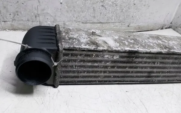 Radiatore Intercooler BMW 5 (E39) 3.0L Diesel image 4