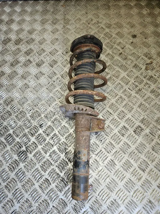 Ammortizzatore anteriore sinistro Skoda Octavia Mk2 (1Z) 2004 1T0413031DN image 2