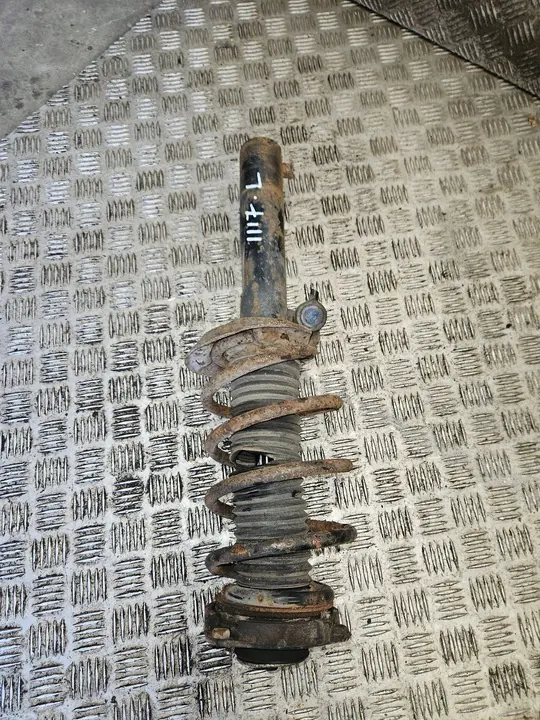 Ammortizzatore anteriore sinistro Skoda Octavia Mk2 (1Z) 2004 1T0413031DN image 3