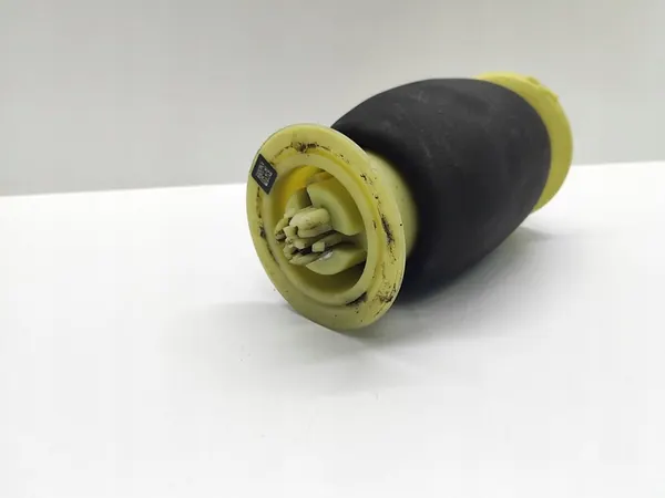 Molla ad aria posteriore BMW 5 F10 F11 6784379 image 4