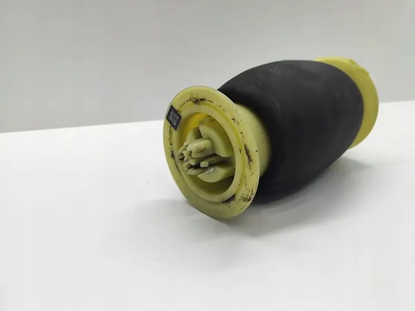 Molla ad aria posteriore BMW 5 F10 F11 6784379 image 6