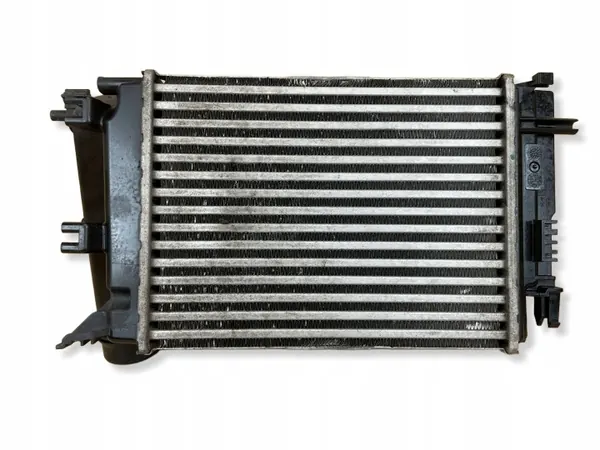 Intercooler OEM 144962803R pour Renault Kadjar/Espace image 4