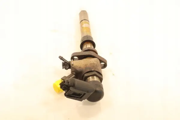 Citroen C4 I Picasso 2007 Fuel Injector image 3