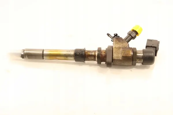 Citroen C4 I Picasso 2007 Fuel Injector image 4