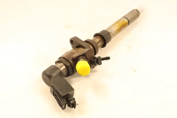 Citroen C4 I Picasso 2007 Fuel Injector image 5