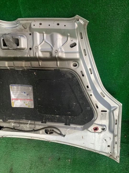 OEM WLX3826 Frammotorhuv för Opel Combo D/Fiat Doblo II image 10