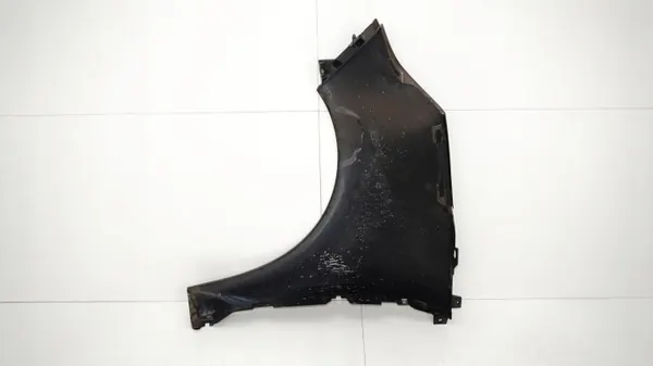 Front rechter Kotflügel OEM 360167898 für Renault Scenic III image 7