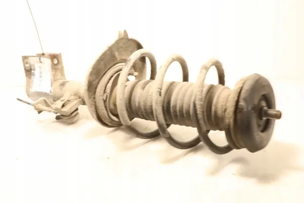 McPherson anteriore sinistro Peugeot Partner II Lift 1.6BlueHDi OEM image 4