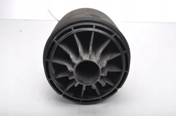 Airmatic Luftfeder Hinterachse OEM 173109 image 3