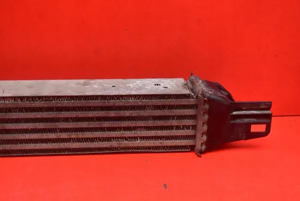 Intercooler Peugeot Bipper 1.3 HDI 52003729 image 10