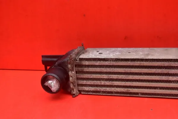 Intercooler Peugeot Bipper 1.3 HDI 52003729 image 2