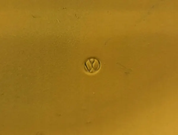 Fram Vänster Skärm VW T5 03-15 OEM 7H0821101E image 5