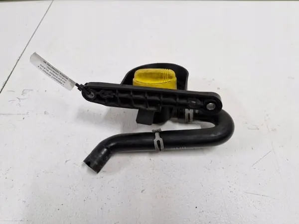 Öljytäyttökorkki ja Putki OEM 152599140R Renault Scenic IV image 3
