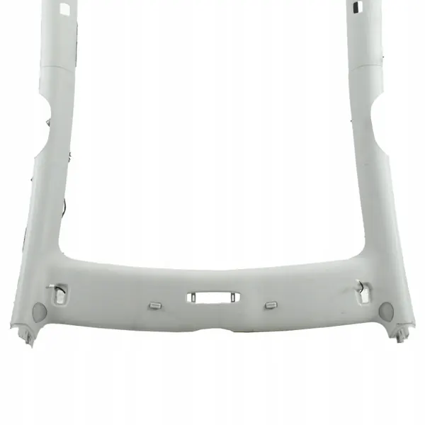 OEM 1623418-00-F Cubierta de techo para Tesla Model Y image 3