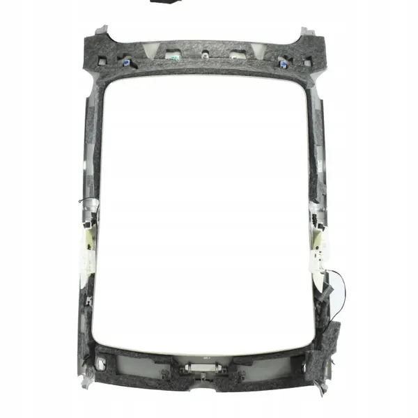 OEM 1623418-00-F Cubierta de techo para Tesla Model Y image 4