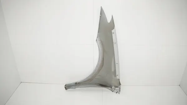 Aile avant droite OEM 360193819 pour Renault Laguna III image 9