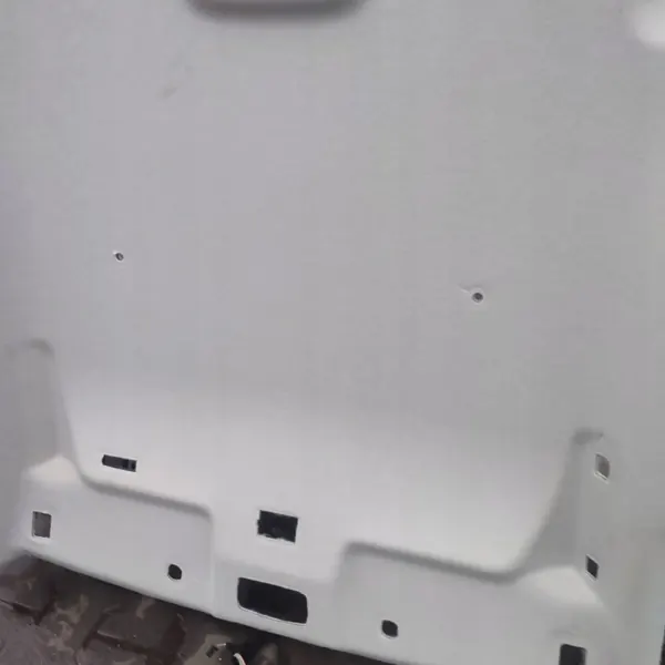 Begagnat Dacia Jogger takklädsel OEM 739108695R image 8