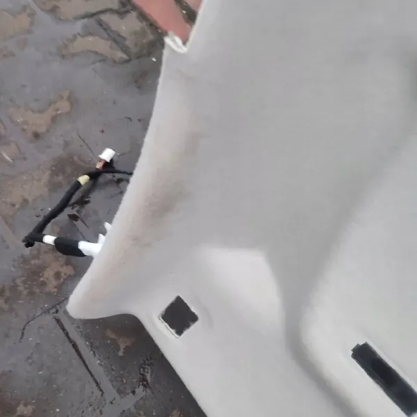 Begagnat Dacia Jogger takklädsel OEM 739108695R image 9