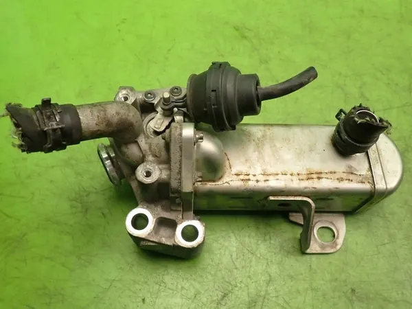 Refroidisseur d'échappement OEM V29005152 pour Nissan Navara image 2