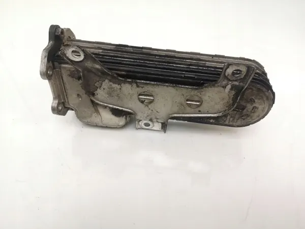 Refrigerador de escape OEM 038131513AD para Skoda image 4