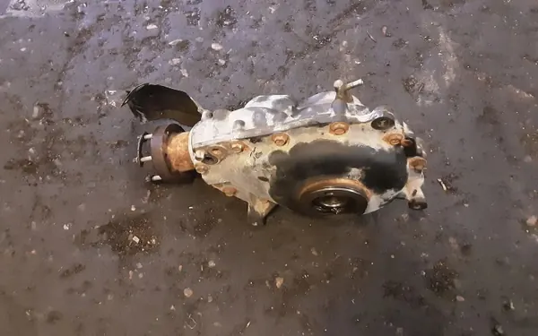 Fram differential LAND ROVER RANGE ROVER SPORT (L320) 81408006360 image 3
